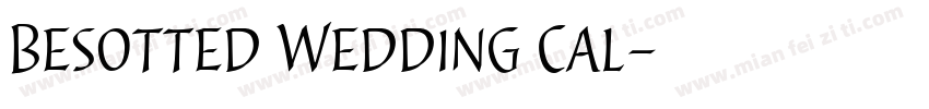 Besotted Wedding Cal字体转换